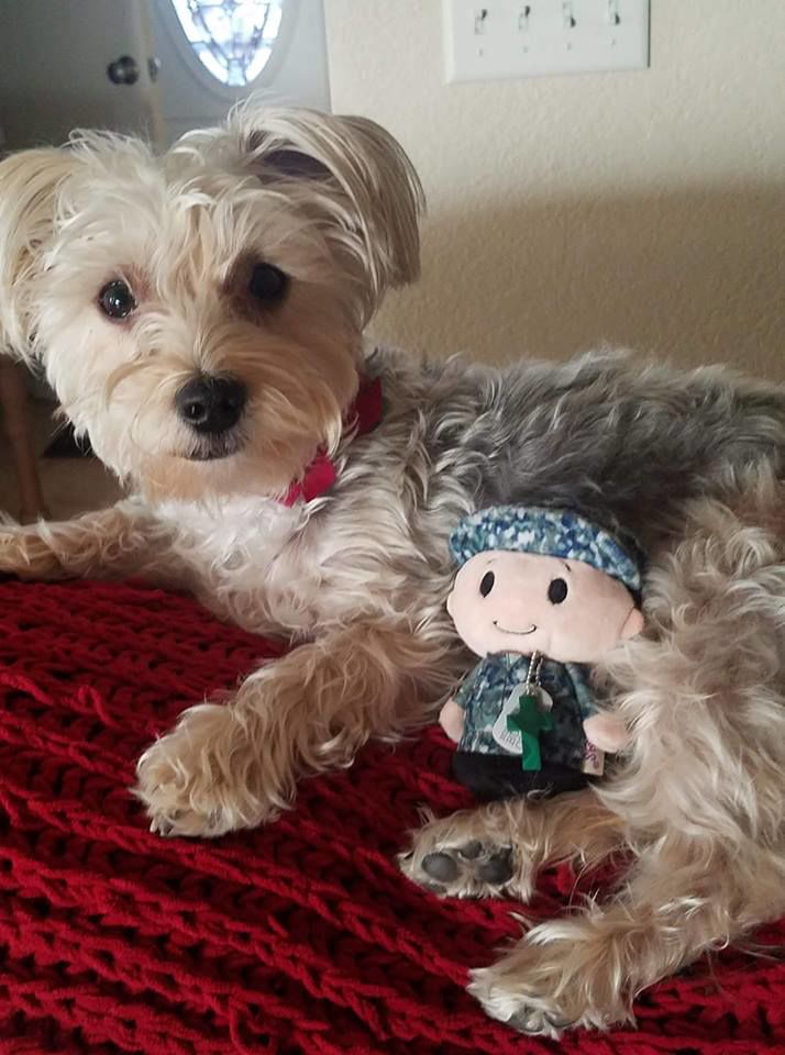 Readers pet photos